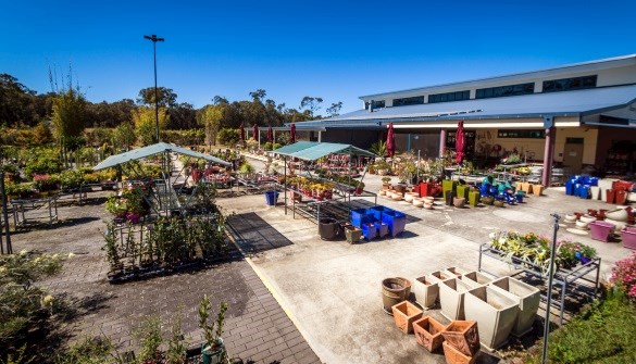 Landscape & Nursery